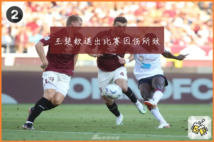 王楚钦退出比赛因伤所致