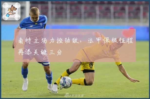 南特主场力挫劲敌，法甲保级征程再添关键三分