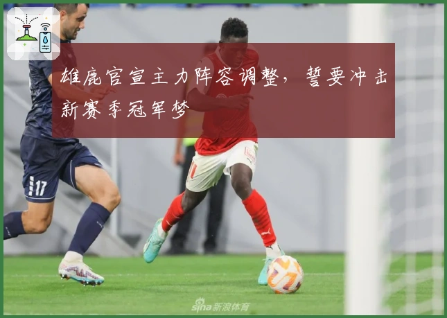 雄鹿官宣主力阵容调整，誓要冲击新赛季冠军梦