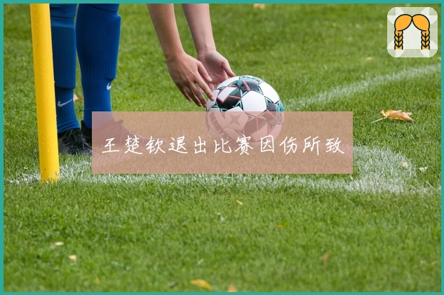王楚钦退出比赛因伤所致